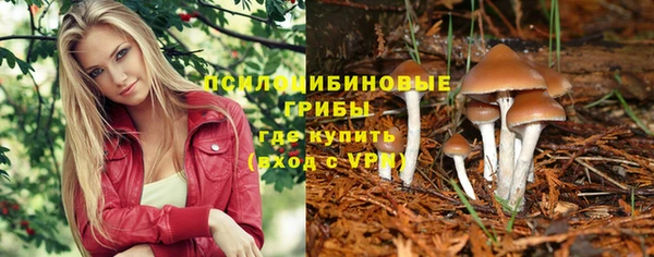крисы Абдулино