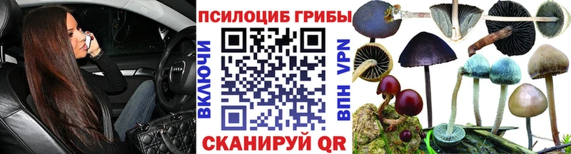 купить наркотик  Отрадный  ссылка на мегу ТОР  Галлюциногенные грибы мицелий 