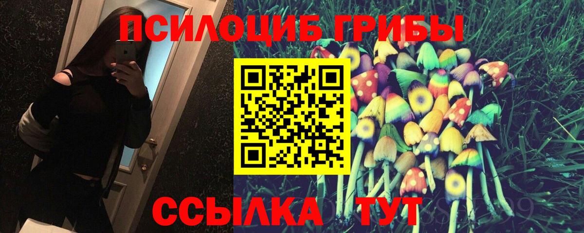 Галлюциногенные грибы Psilocybine cubensis Отрадный