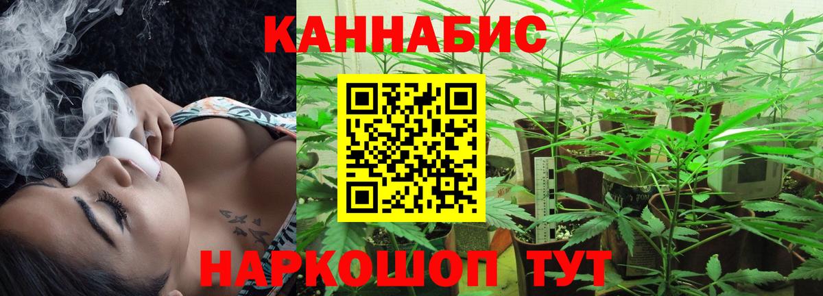 Бошки Шишки индика Отрадный